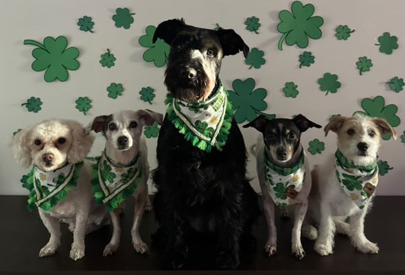 Lucky Meadow Bandana