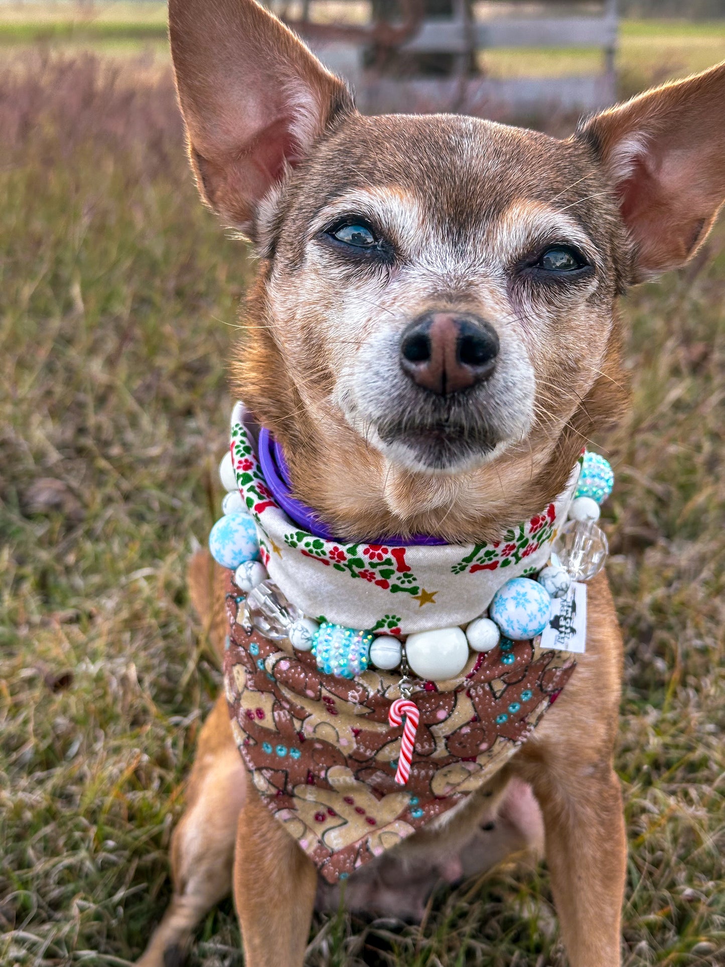 Jolly Gingerbread Reversible Bandana
