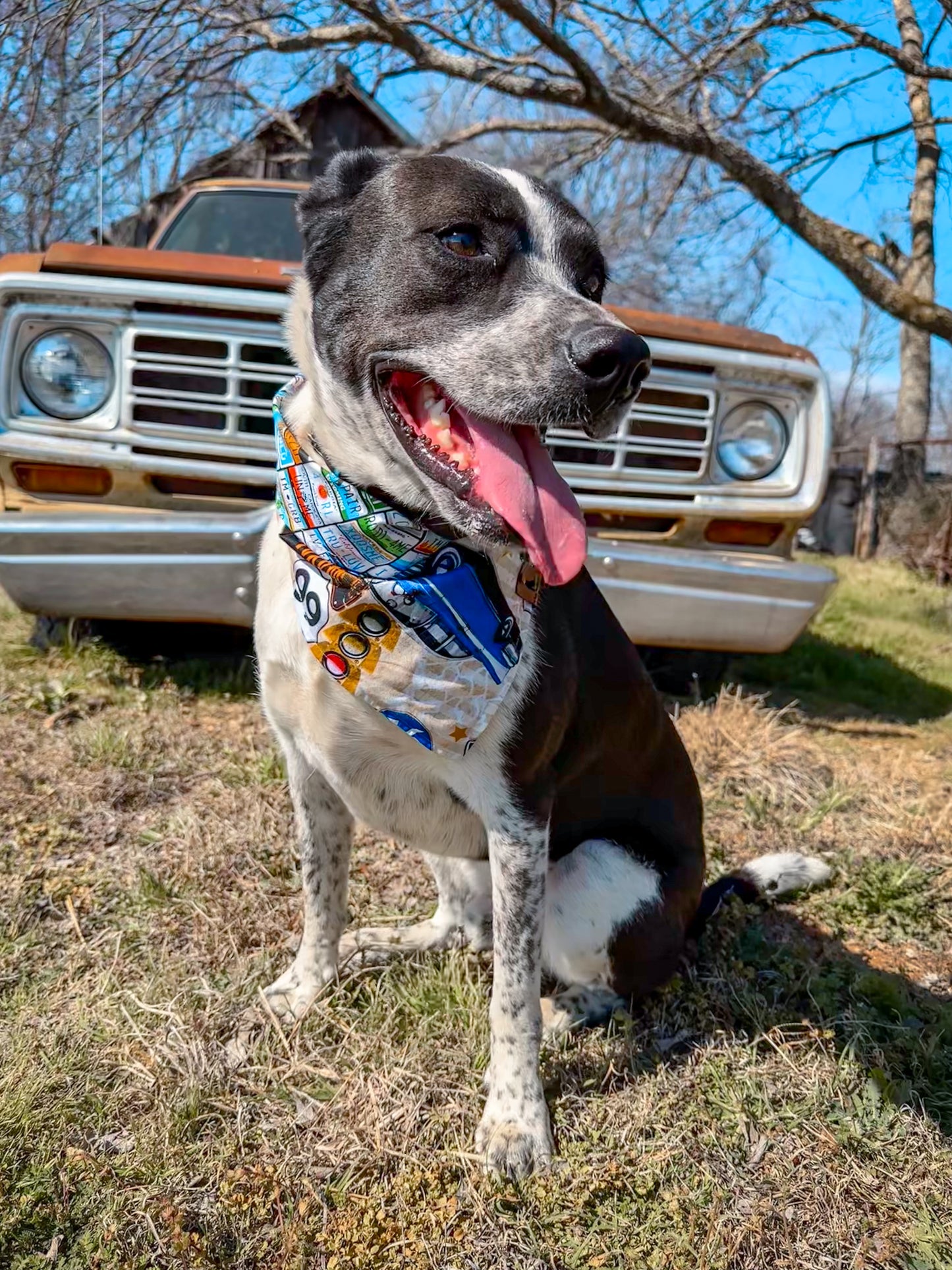 Highway Howler