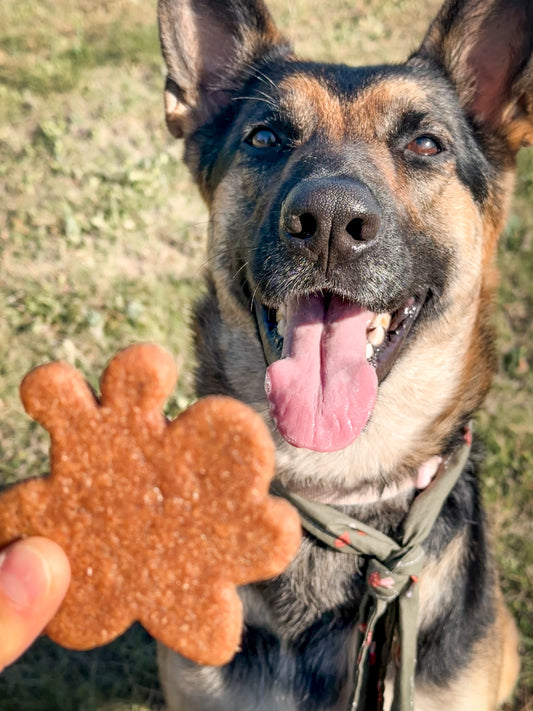 Theo’s Busy Bees Peanut Butter Banana Treats