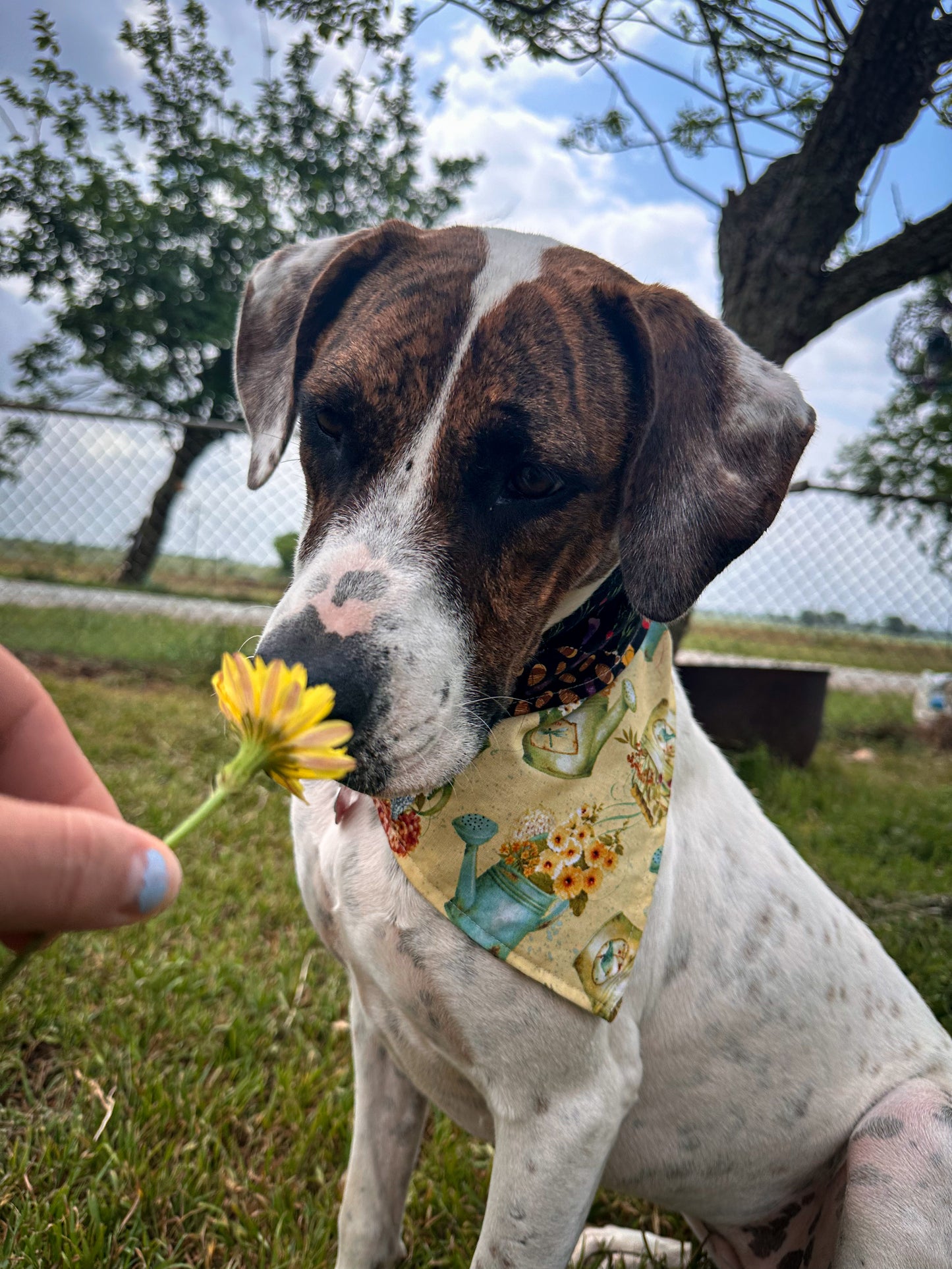 Sprout & Bloom