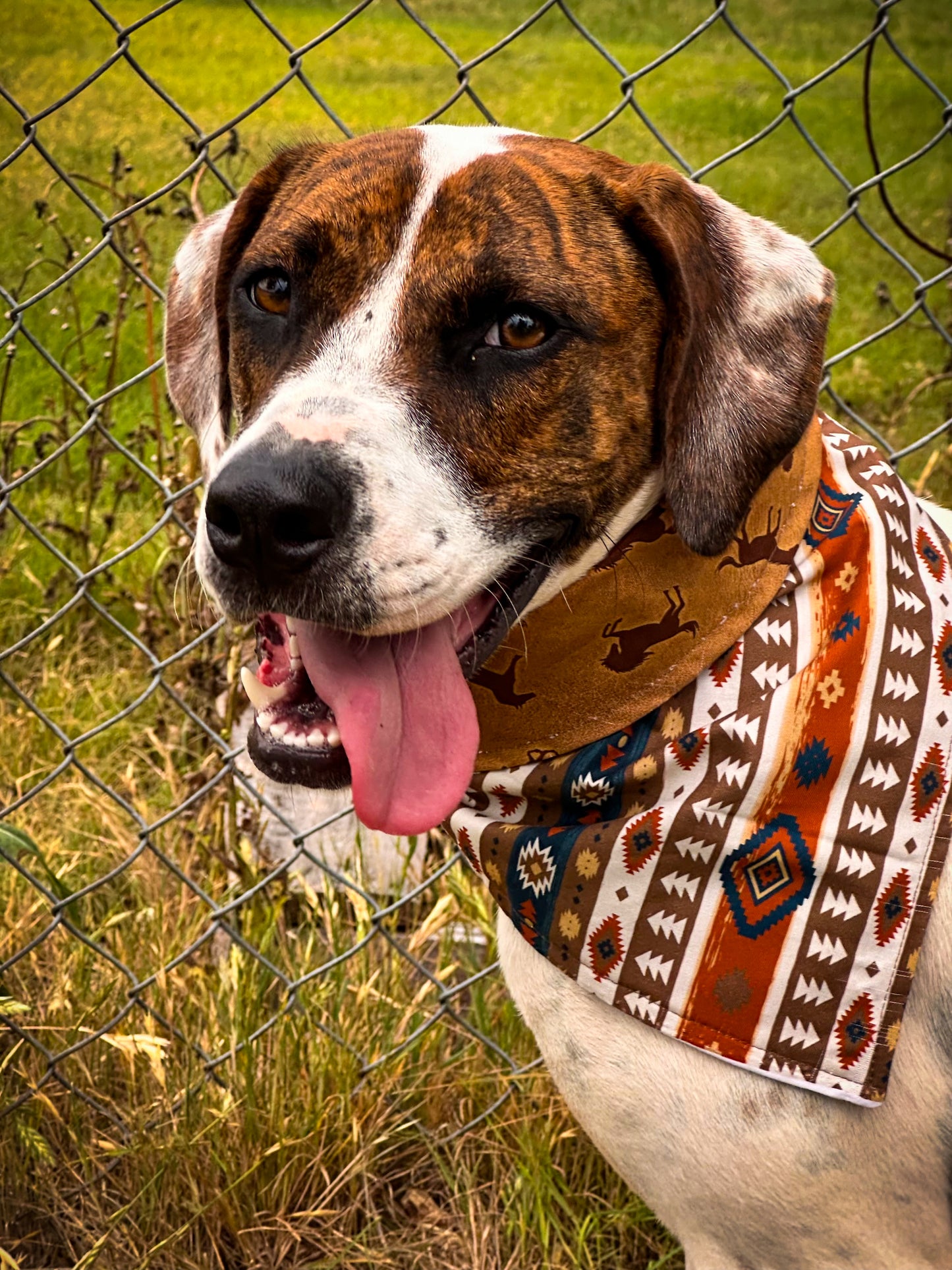 Tailblazer