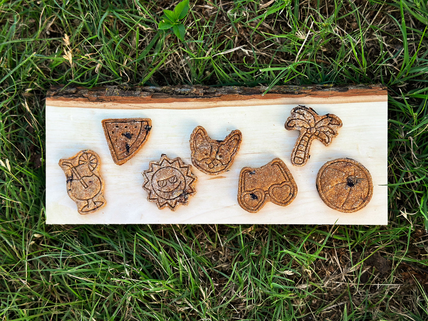 Maggie Bites: Beach Bash