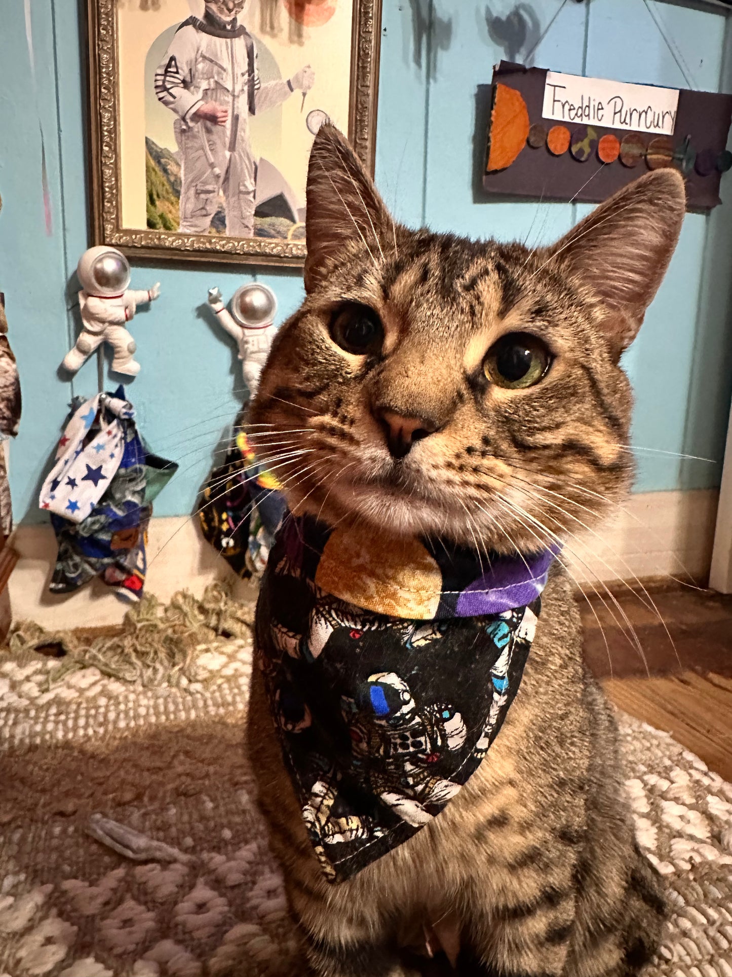 Captain Freddie