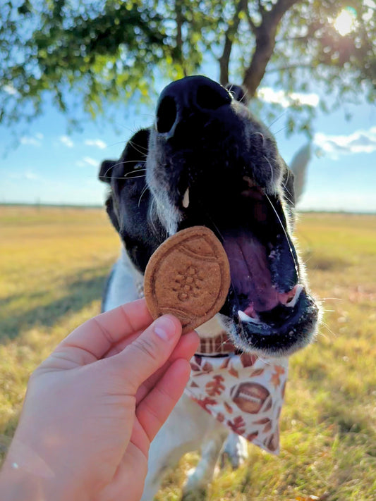 Theo’s Tailgate Treats