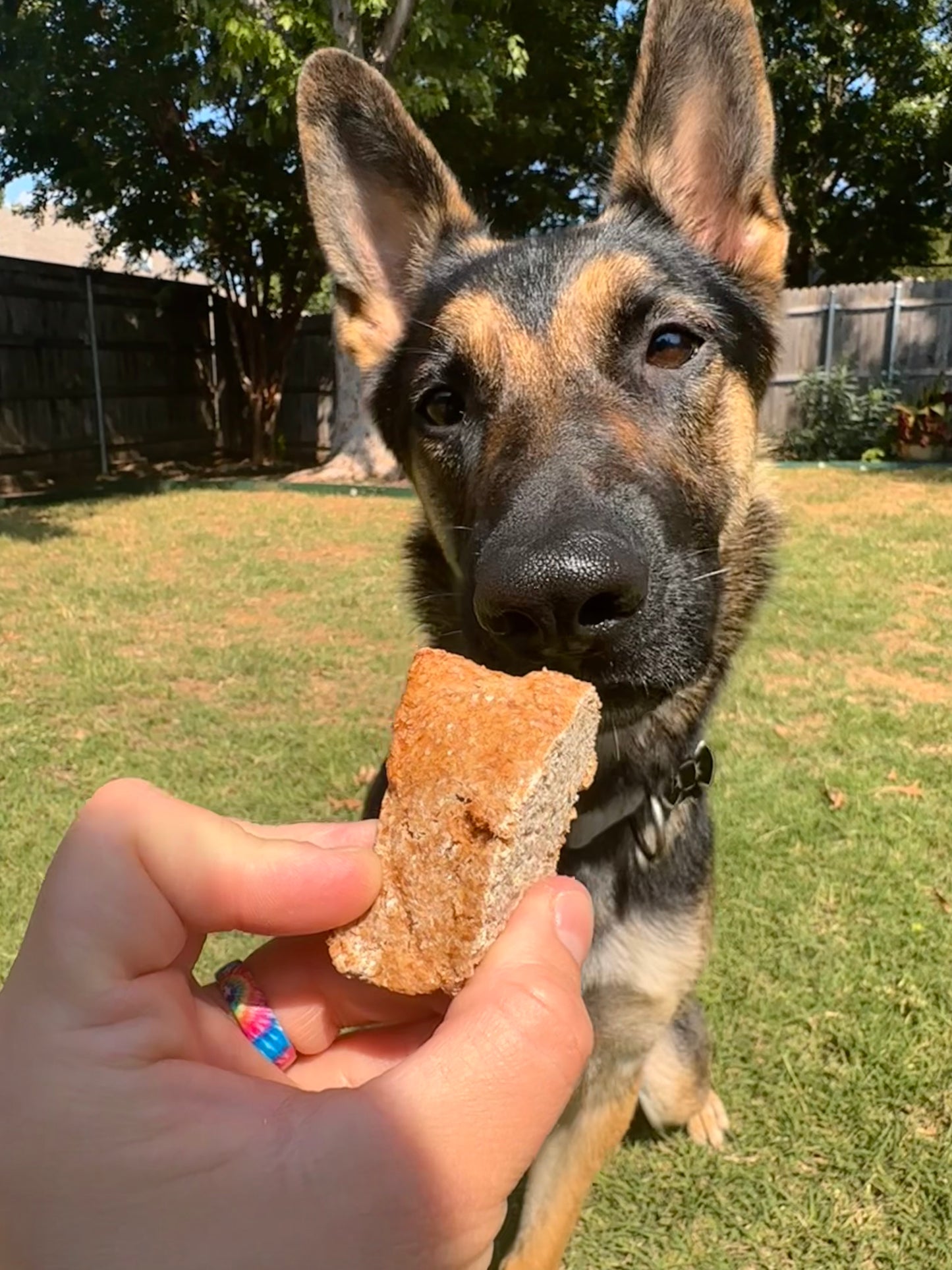 Maylee's Banana Bread