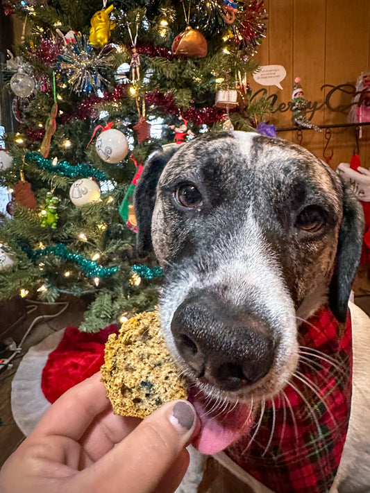 Maylee's Fruit Cake Mini Loaf