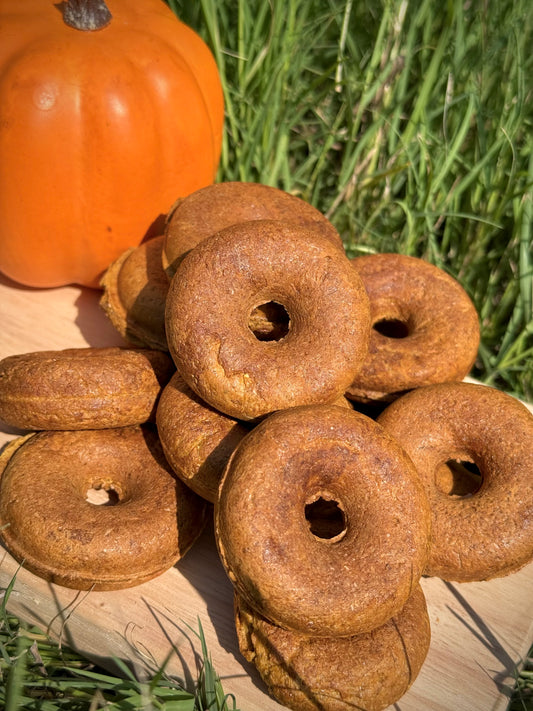 Maylee’s Mini Pumpkin Donuts
