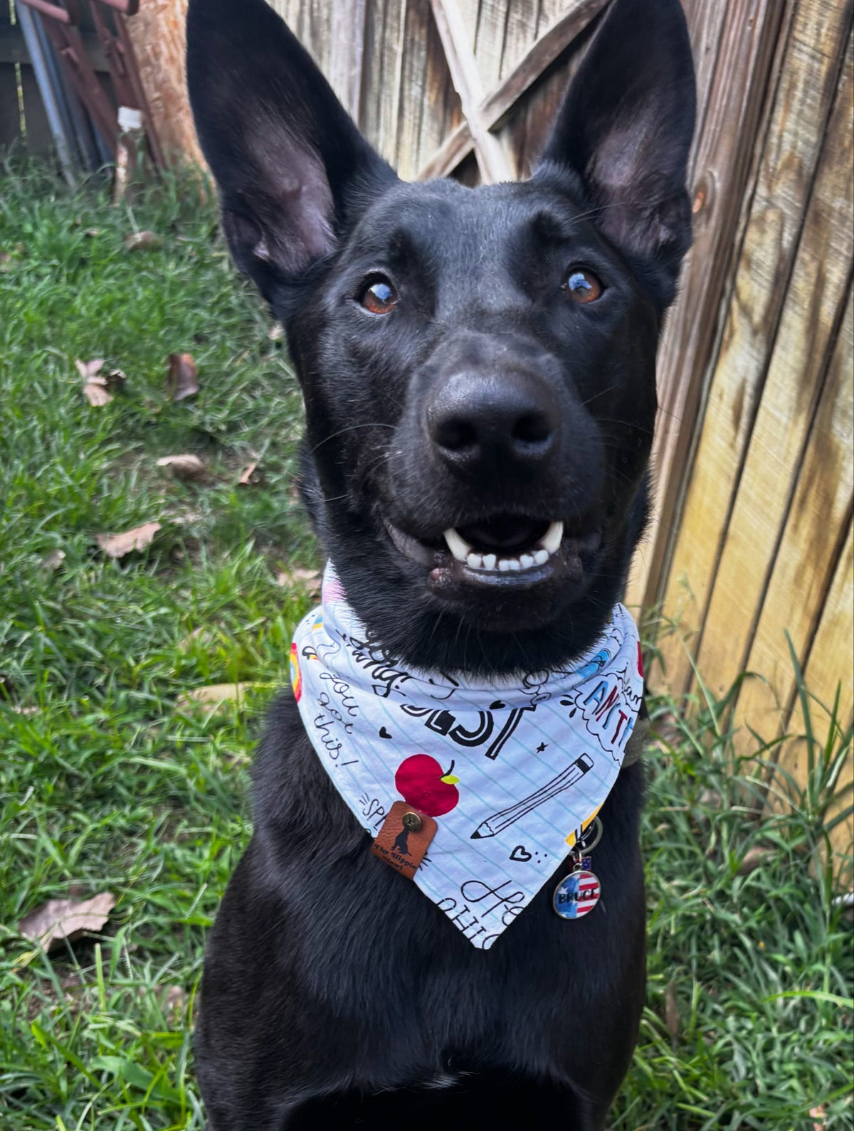 Bark to School
