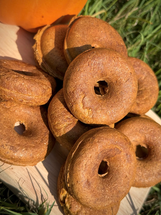 Maylee’s Mini Pumpkin Donuts