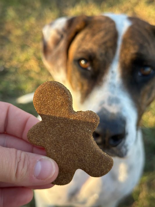 Isabella’s Gingerbread Lane Mini Bag