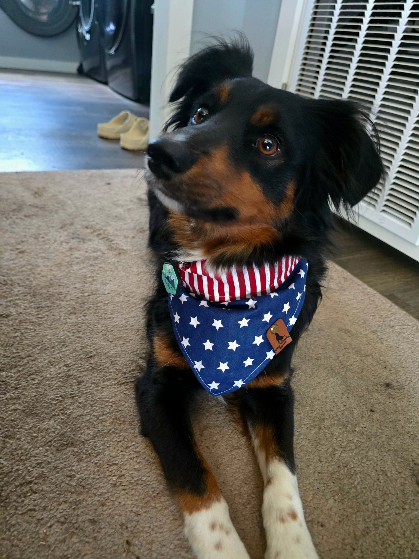 All-American Howler