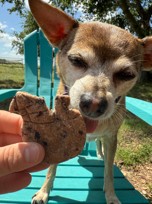 Marbles’s Beachside Cocktail