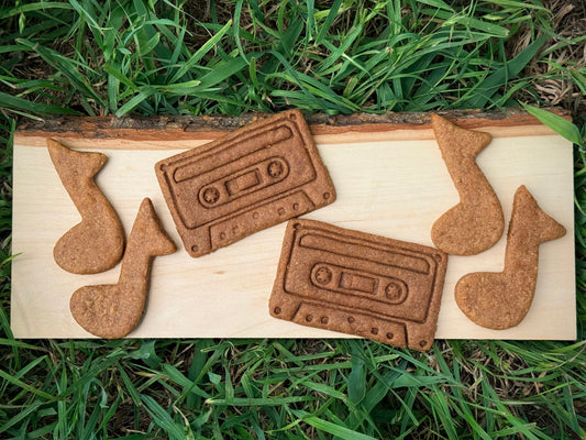 Theo's Summer Jams