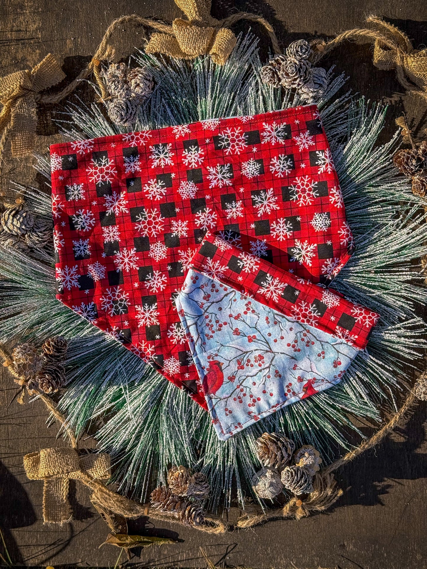 A Christmas Morning Visit