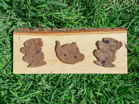 Marbles’ Garden Tea Party Coconut Blueberry Treats