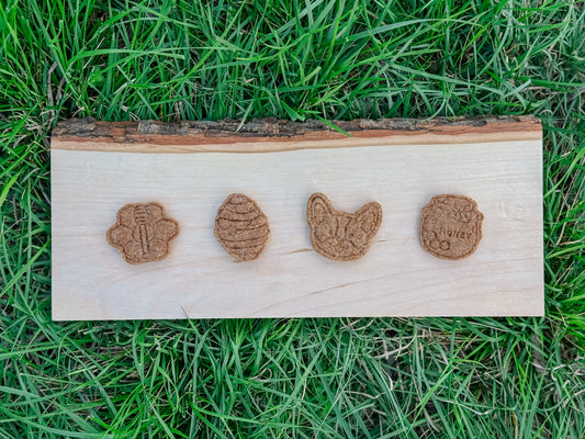 Maggie Bites: Honey Heist Honey Coconut Treats