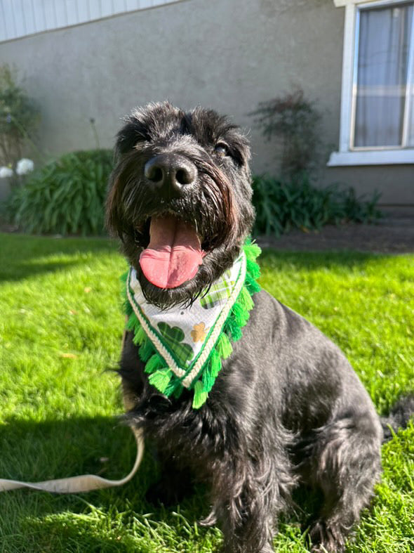 Lucky Meadow Bandana