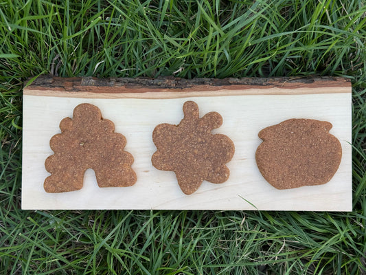 Theo’s Busy Bees Peanut Butter Banana Treats