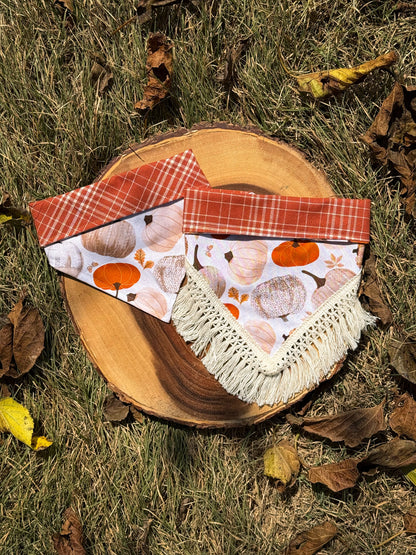 Pumpkin Patch Acres