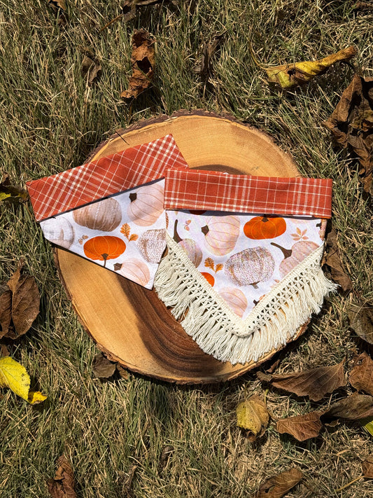 Pumpkin Patch Acres