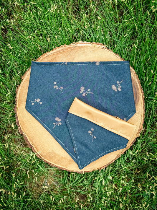 The Afternoon Caller