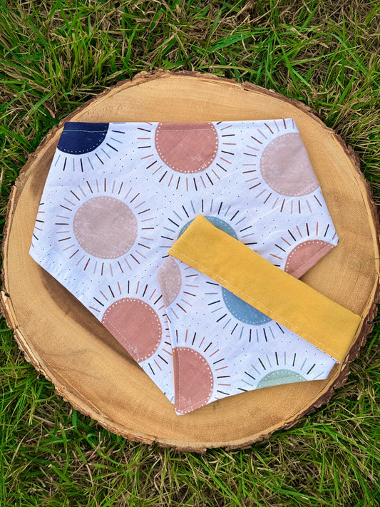 Sunshine Revival