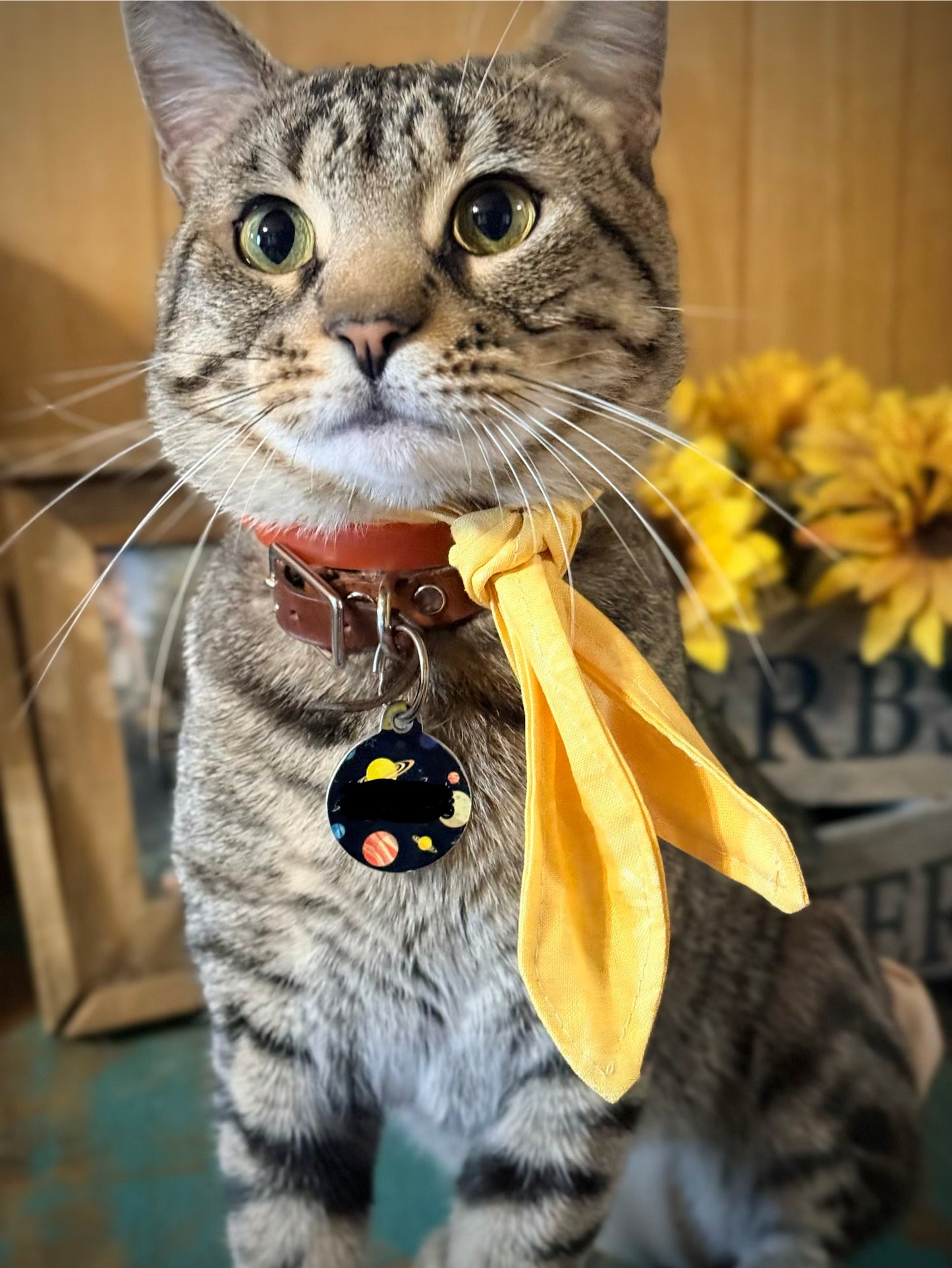 Sundaze Ascot