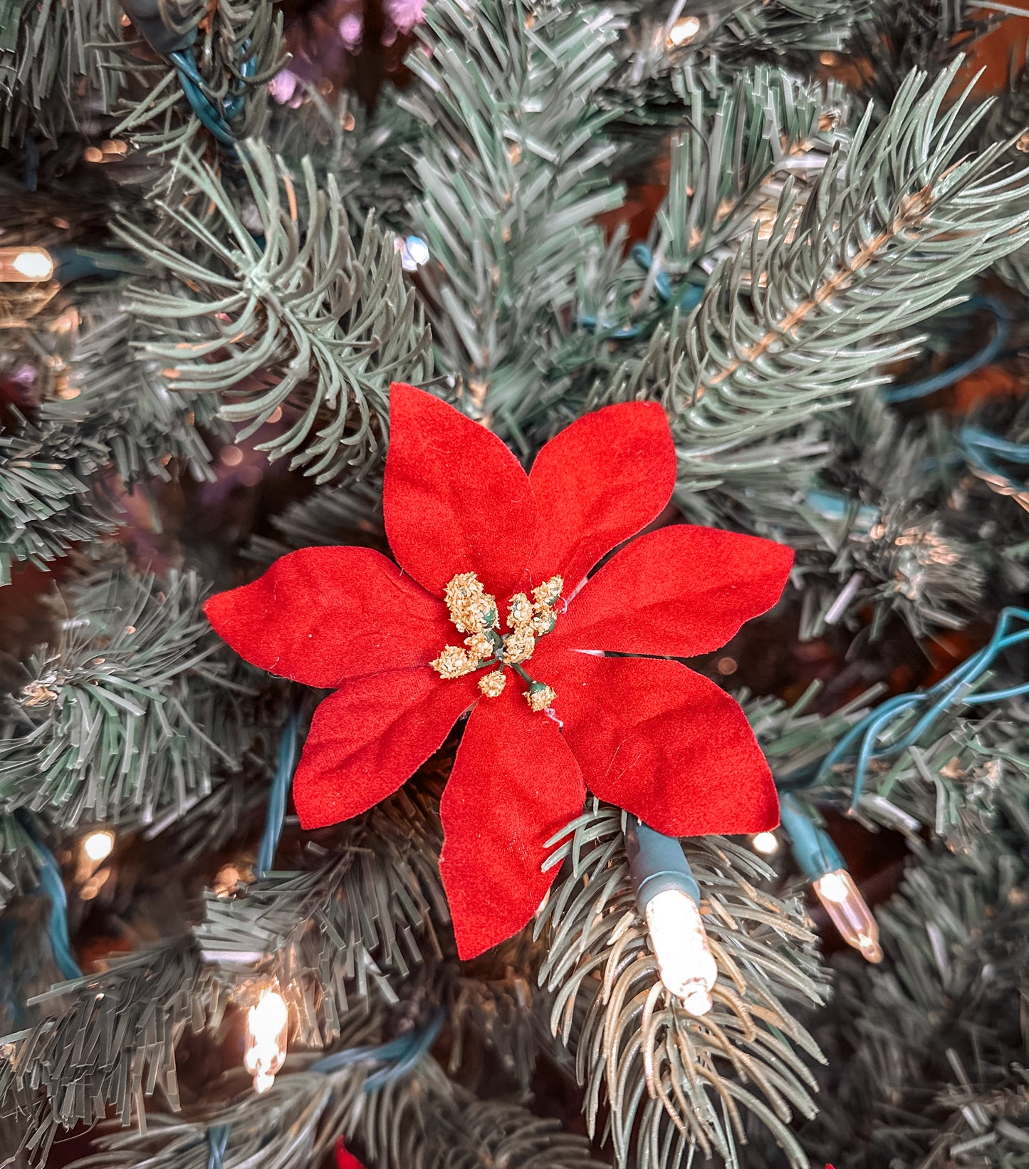 Poinsettia Collar Flowers