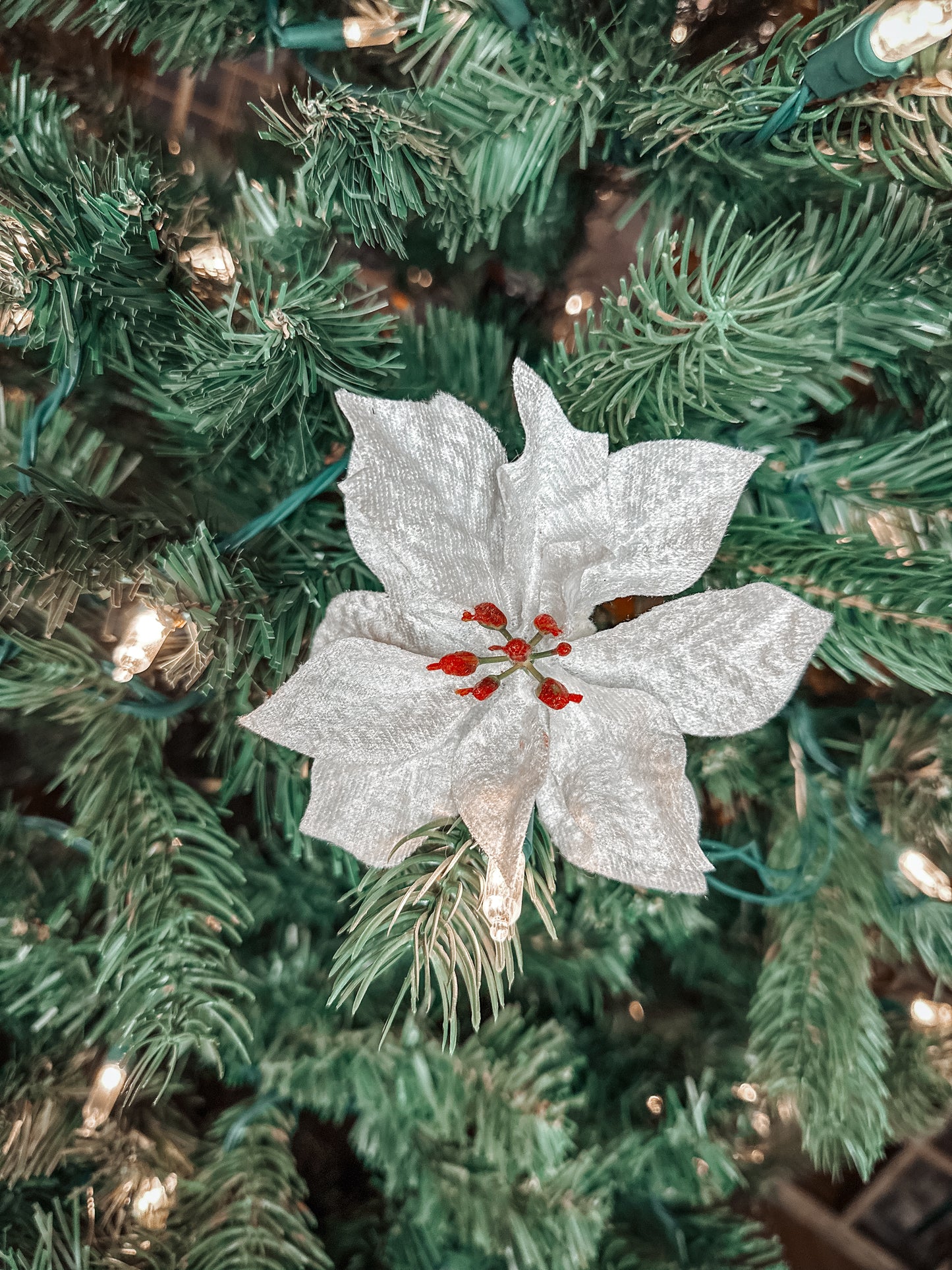 Poinsettia Collar Flowers