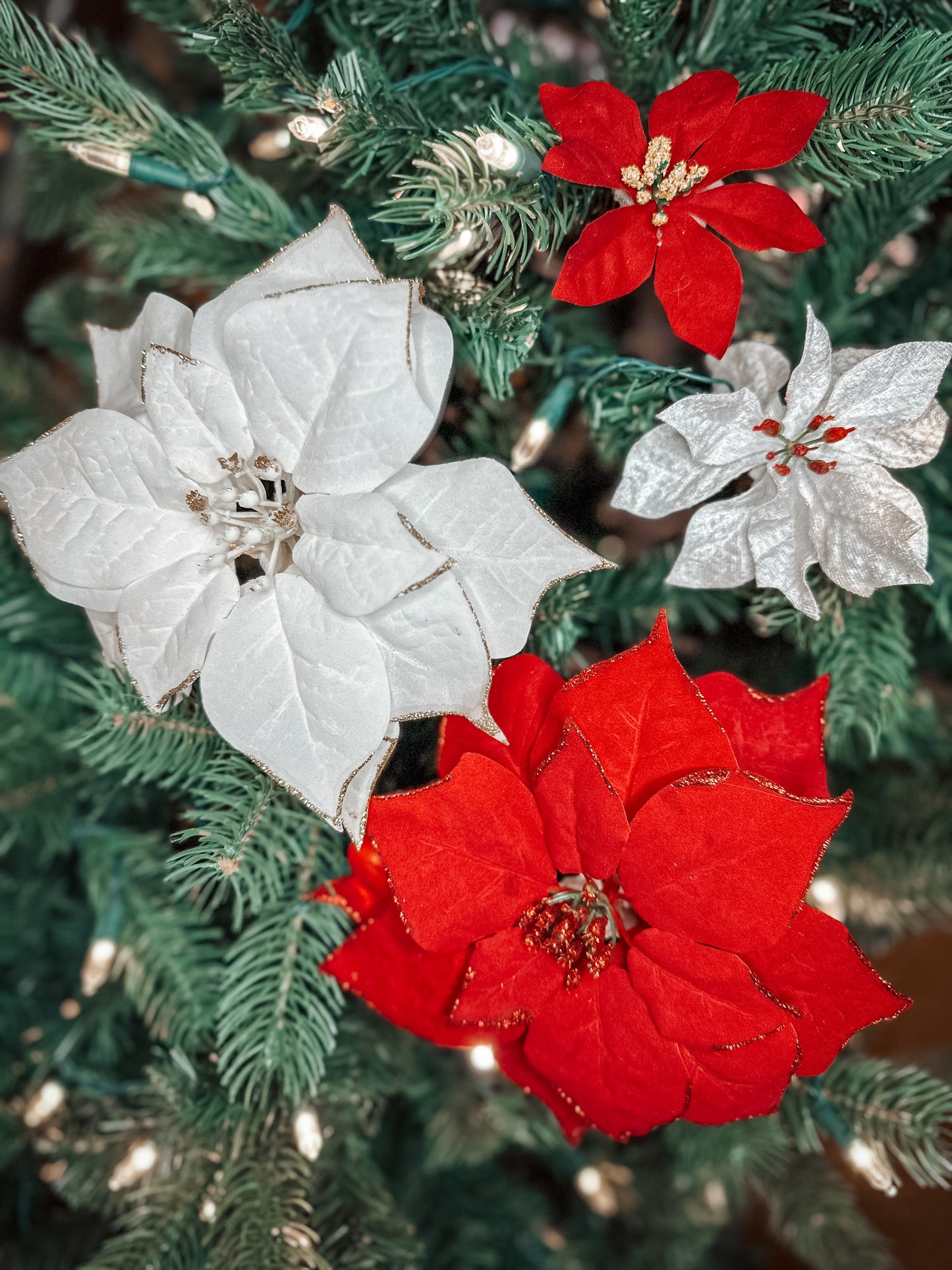 Poinsettia Collar Flowers