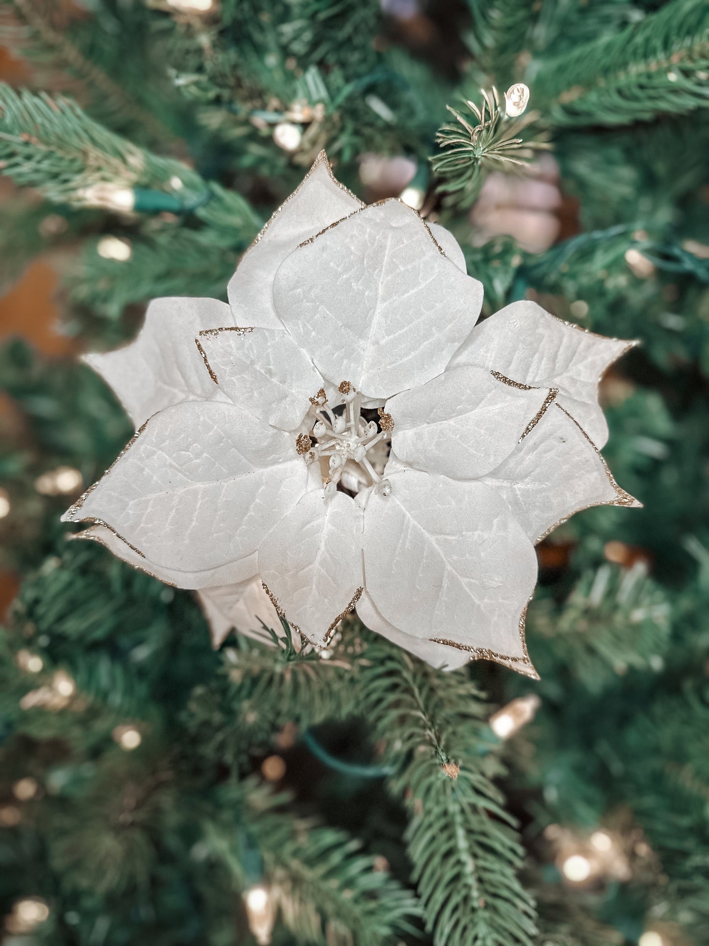 Poinsettia Collar Flowers