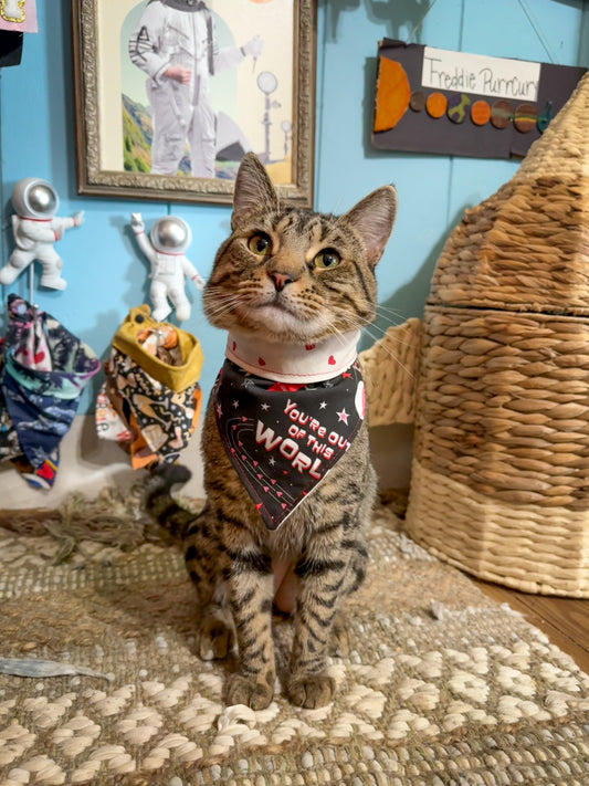 Out of This World Valentine