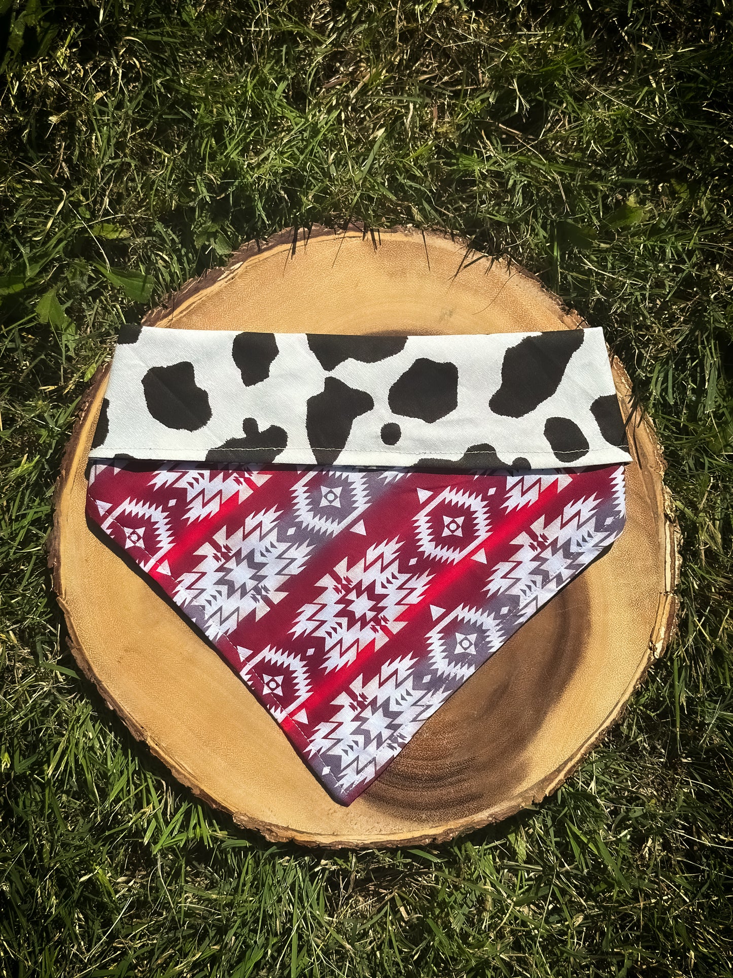 Cowhide Coyote