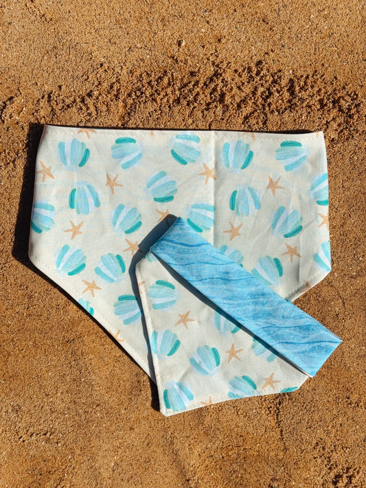 Seashell Beach