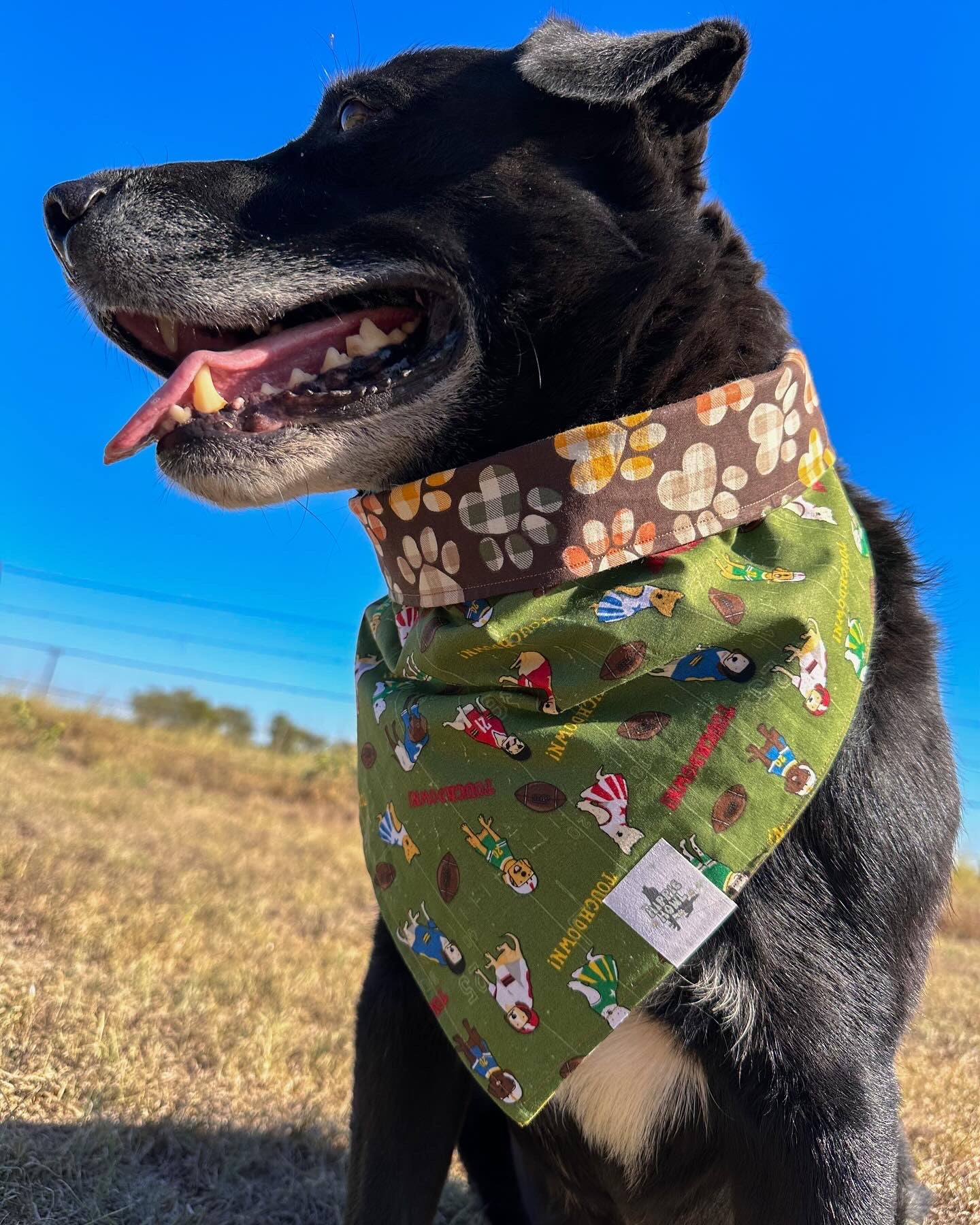 The Dogs Of Fall bandana