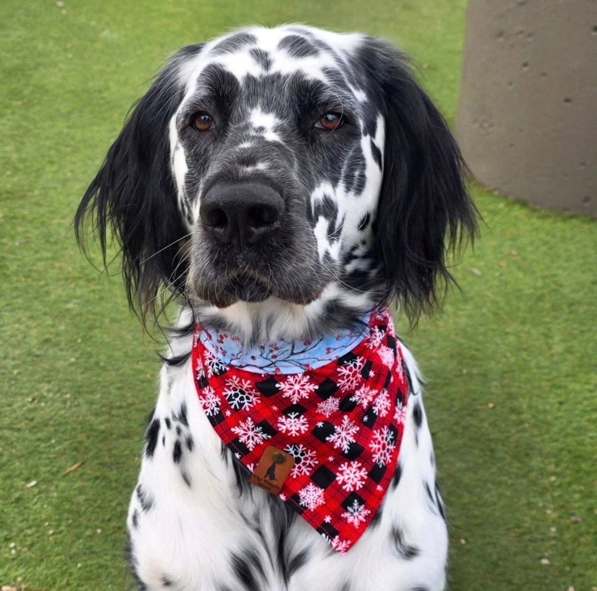 A Christmas Morning Visit