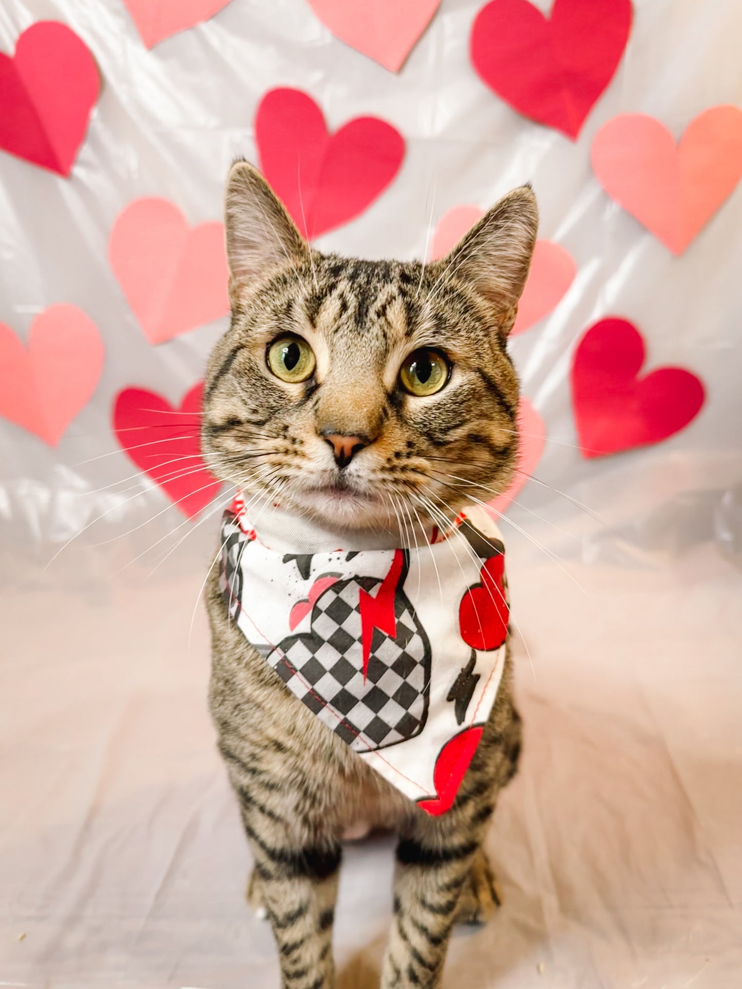 The Lover Boy