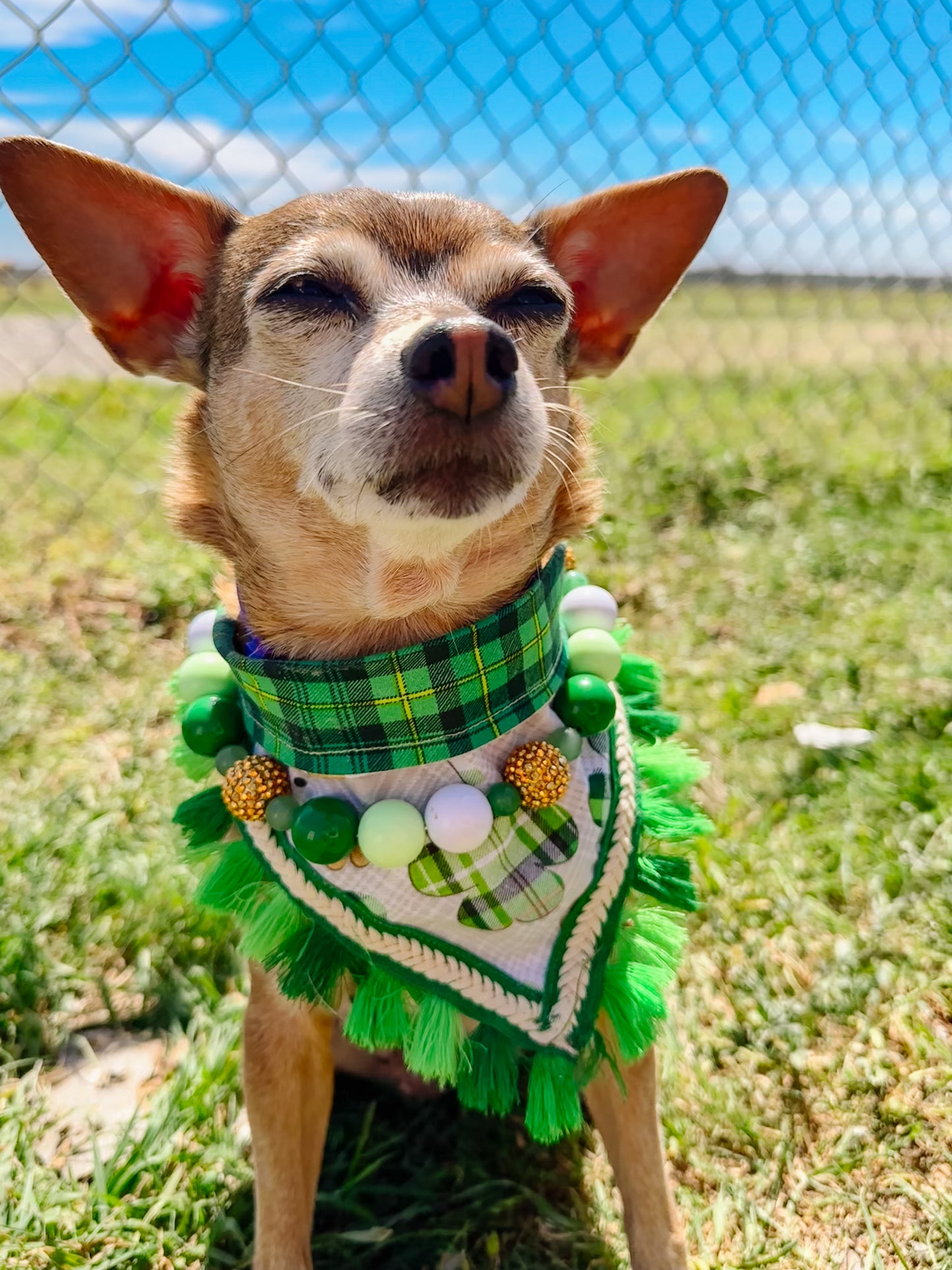 Lucky Meadow Bandana