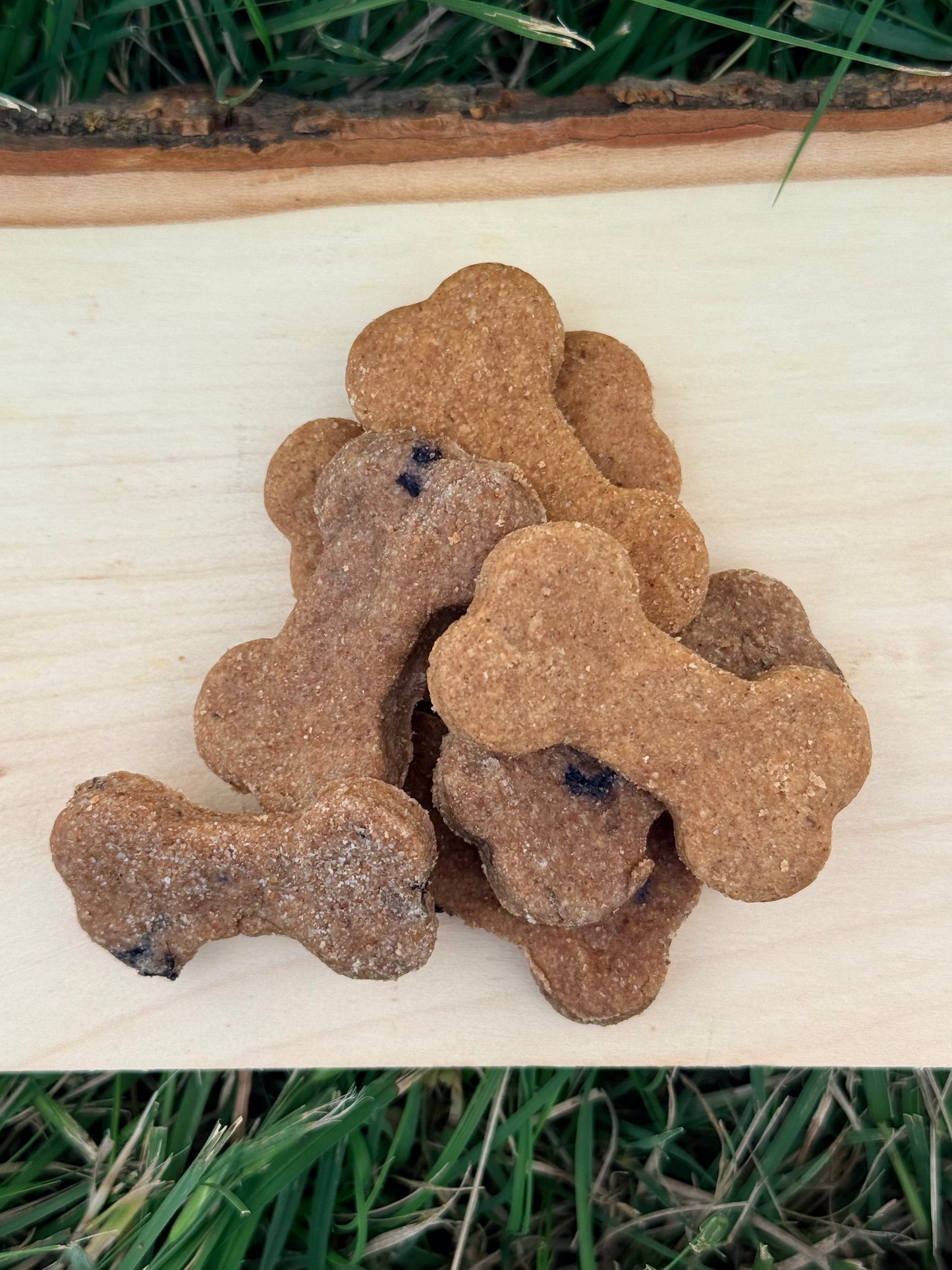 Ryder & Stetson's PB&J Training Treats