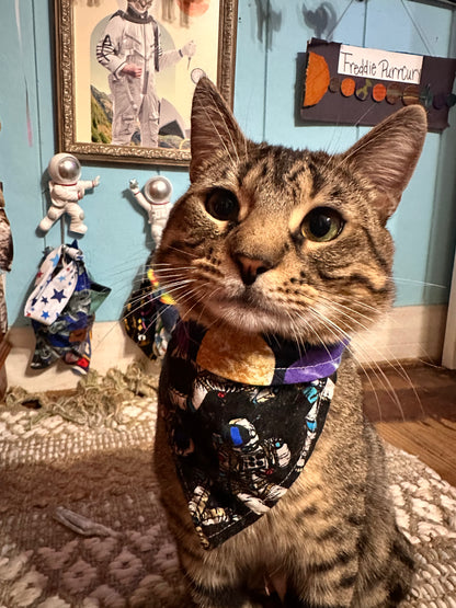 Captain Freddie