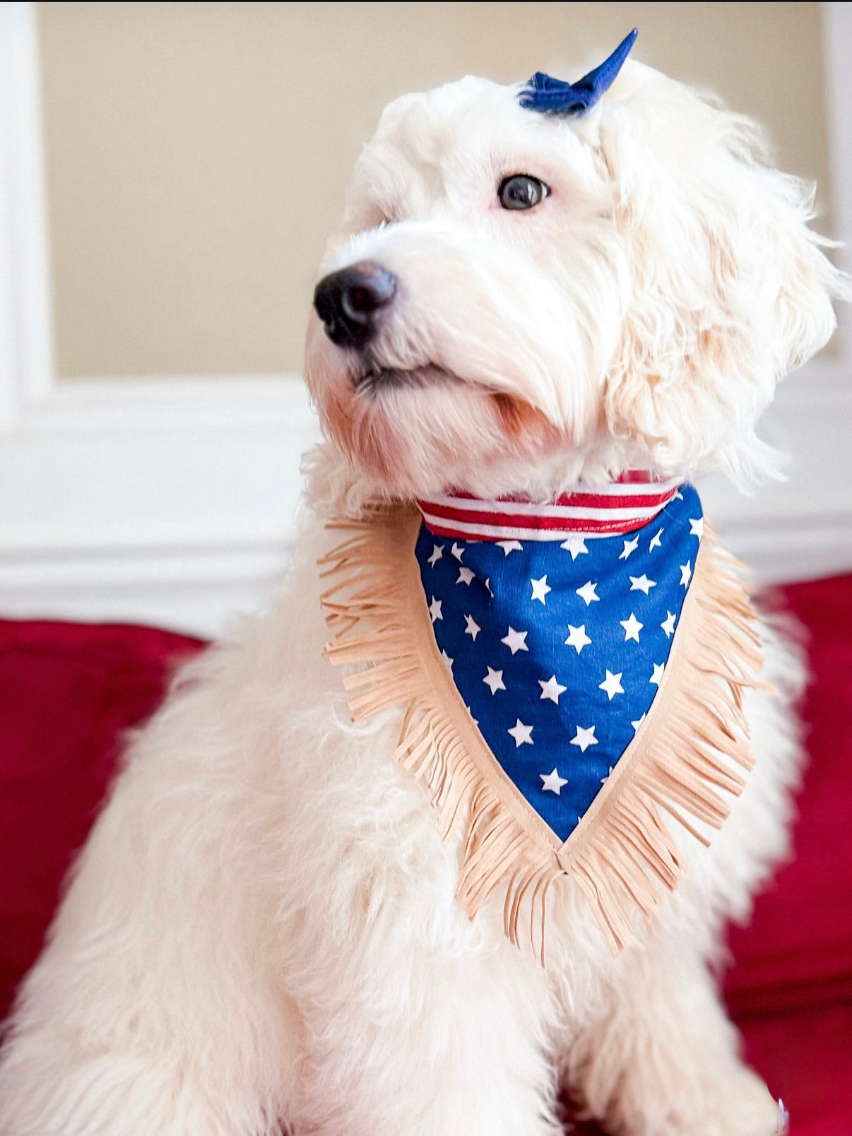 All-American Howler