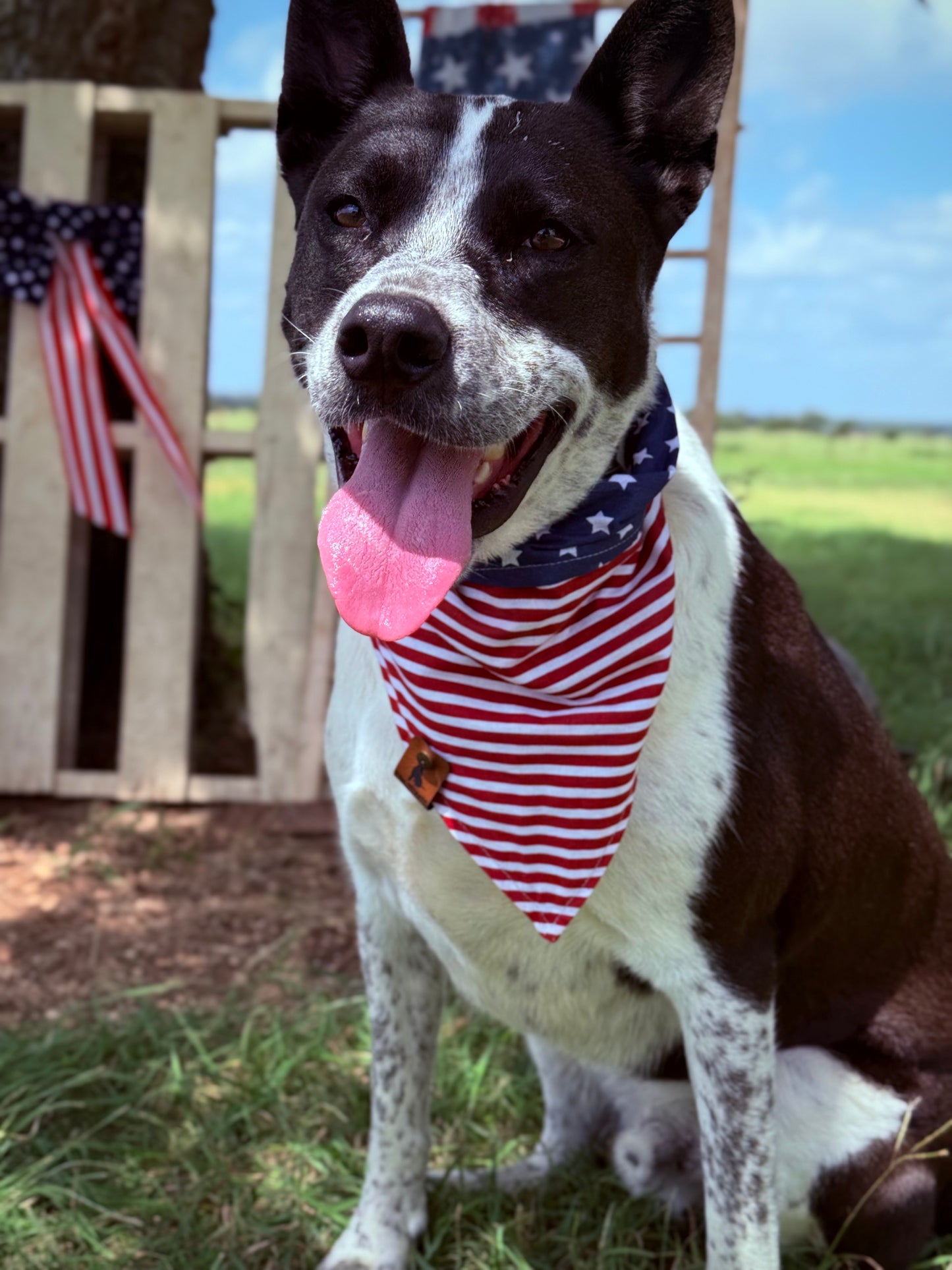 All-American Howler