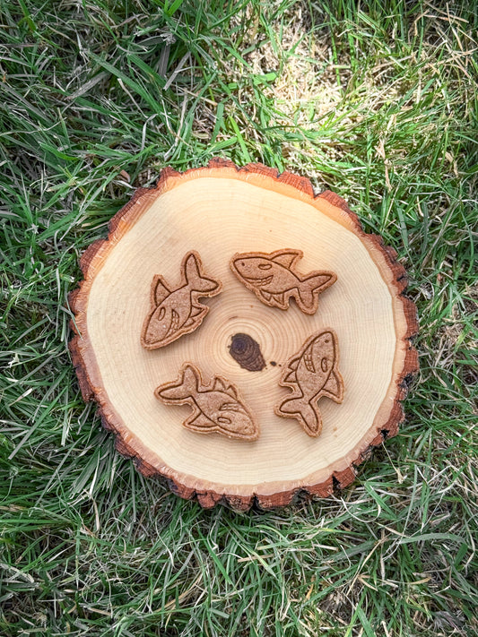 Shark Snack Attack