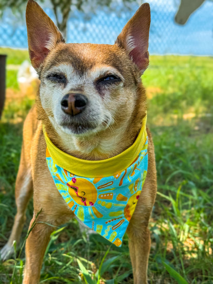 Here Comes The Sun