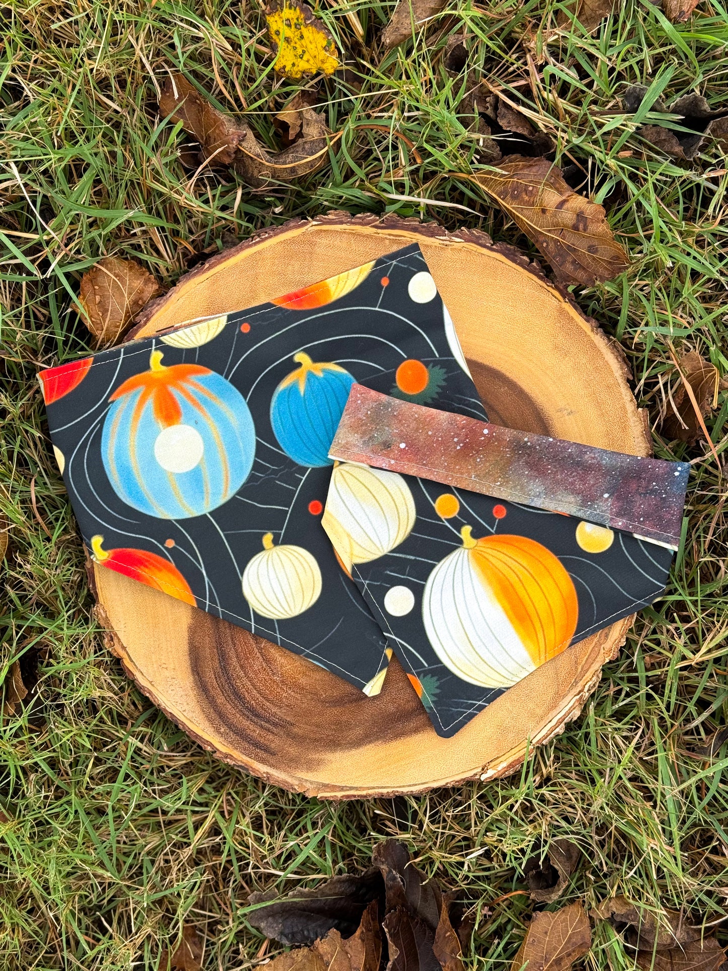 Galaxy Gourd