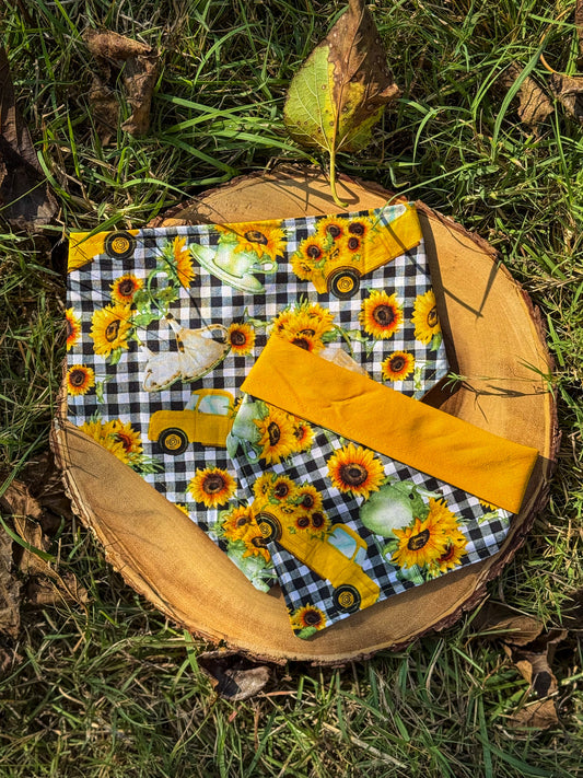 Sunflower Fields