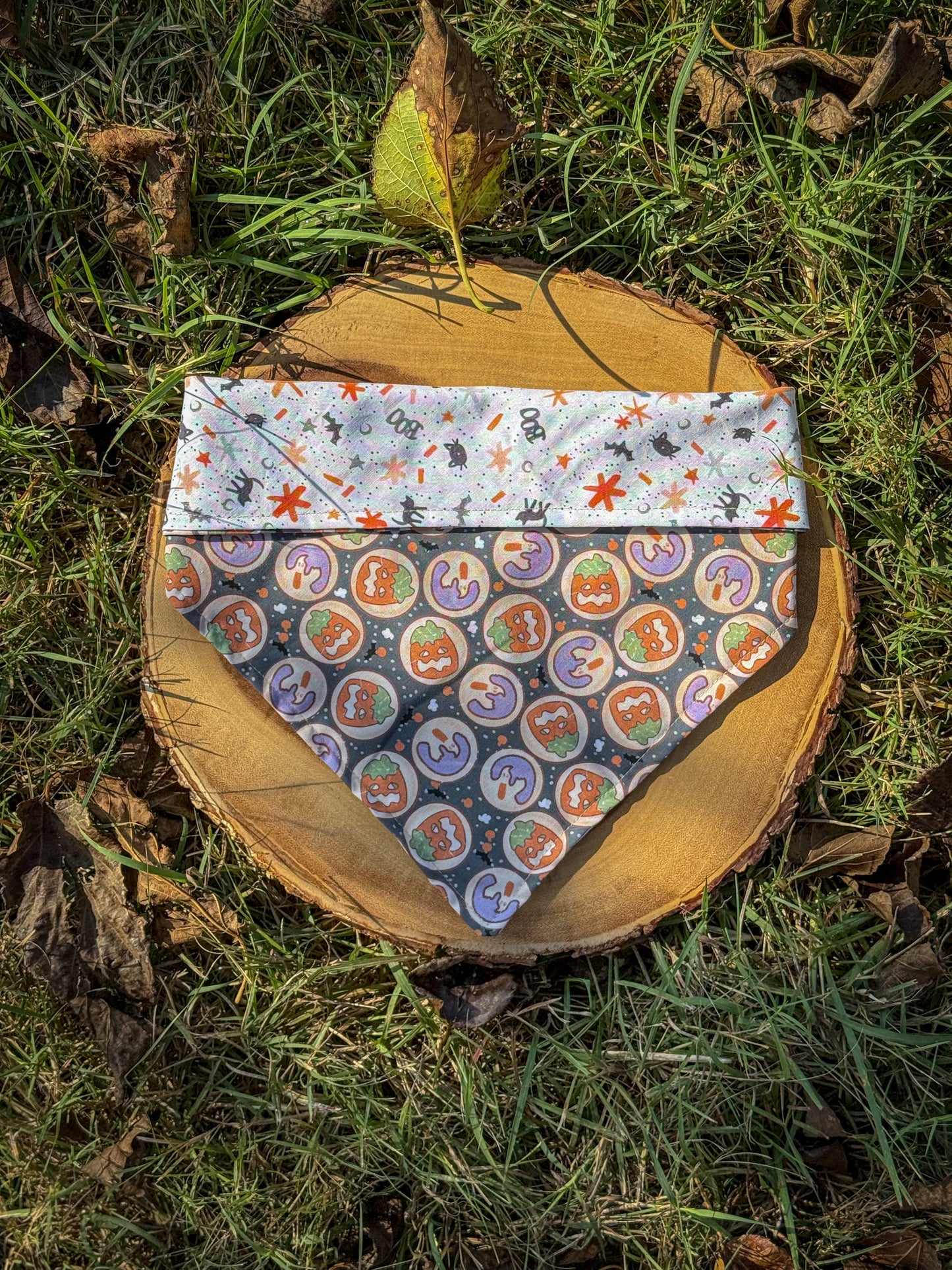 Spooky Sugar Cookies