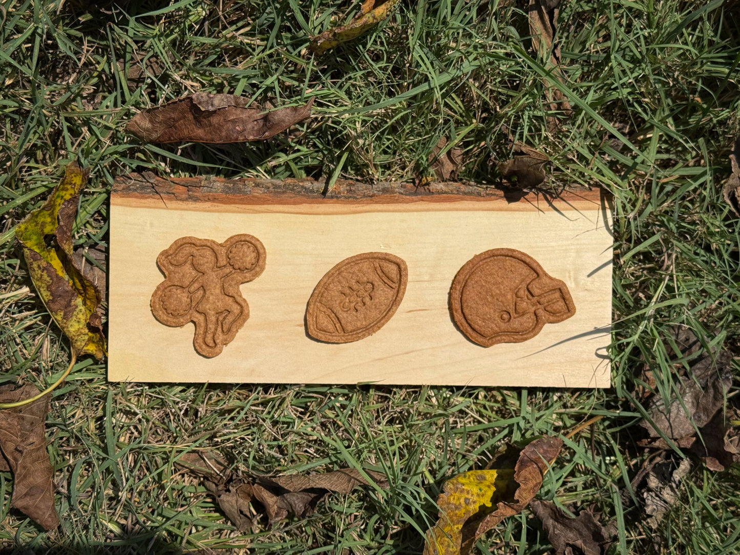 Theo’s Tailgate Treats
