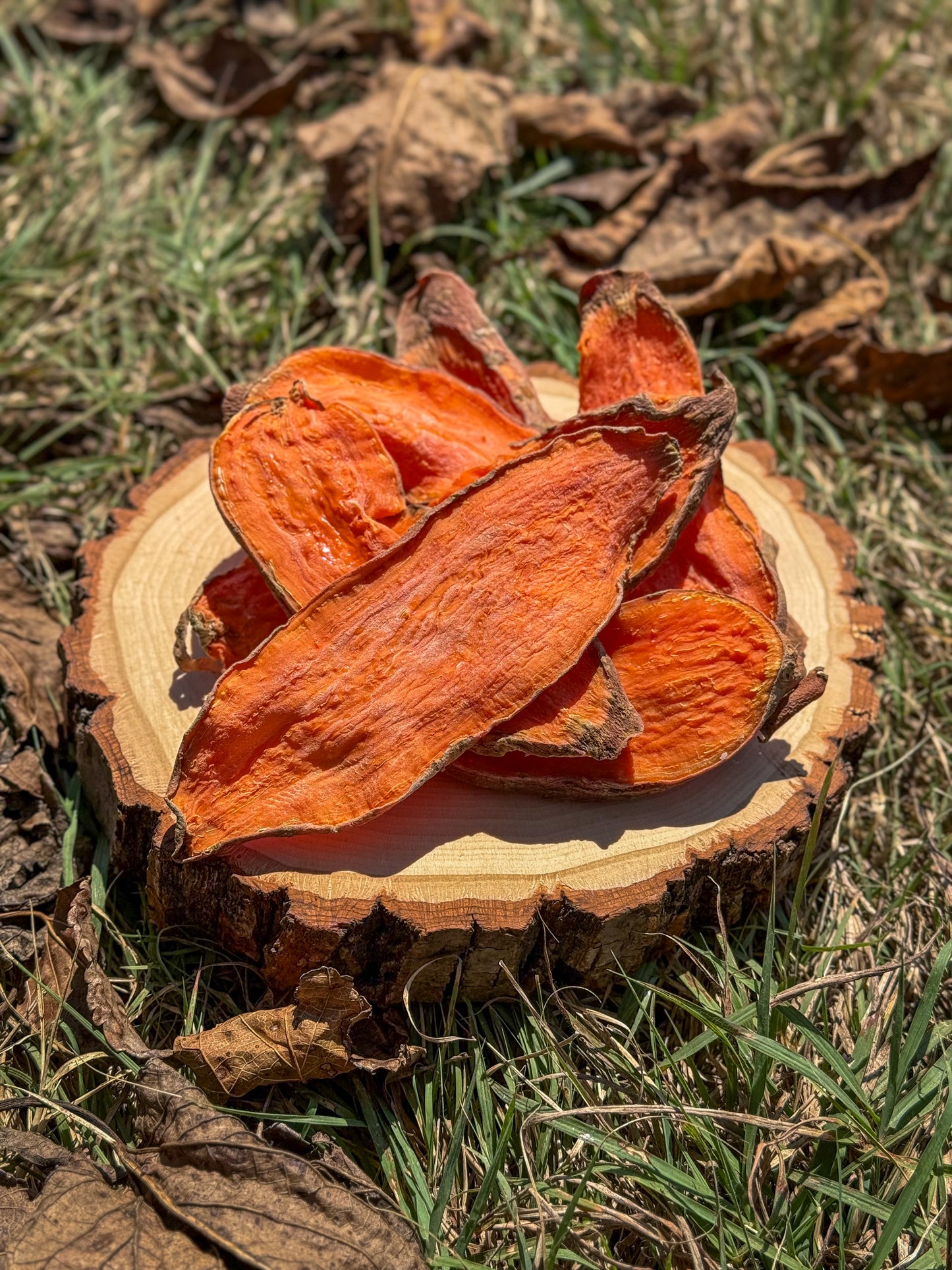 The Crew's Sweet Potato Chews
